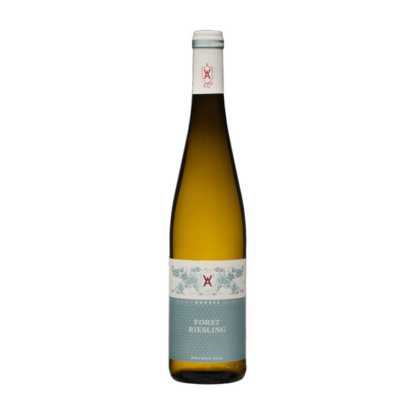 Weingut Andres Forster Riesling trocken – Weißwein, Pfalz