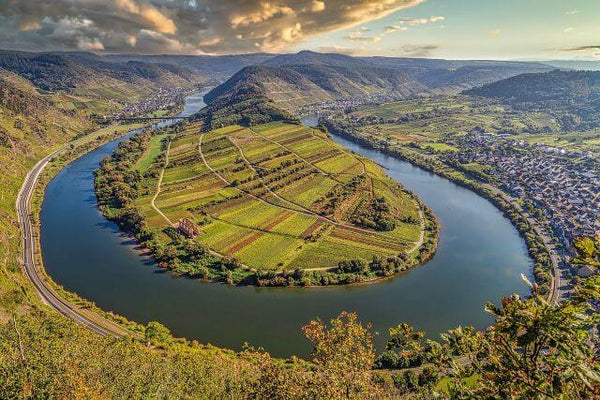 Mosel