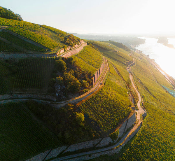 Rheingau