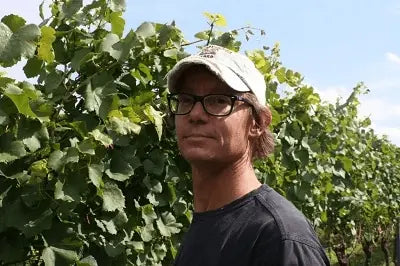 Wein-Werkstatt Daniel Bach