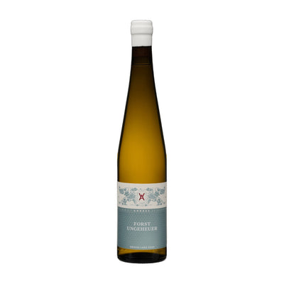 2022 Forster Ungeheuer Riesling trocken