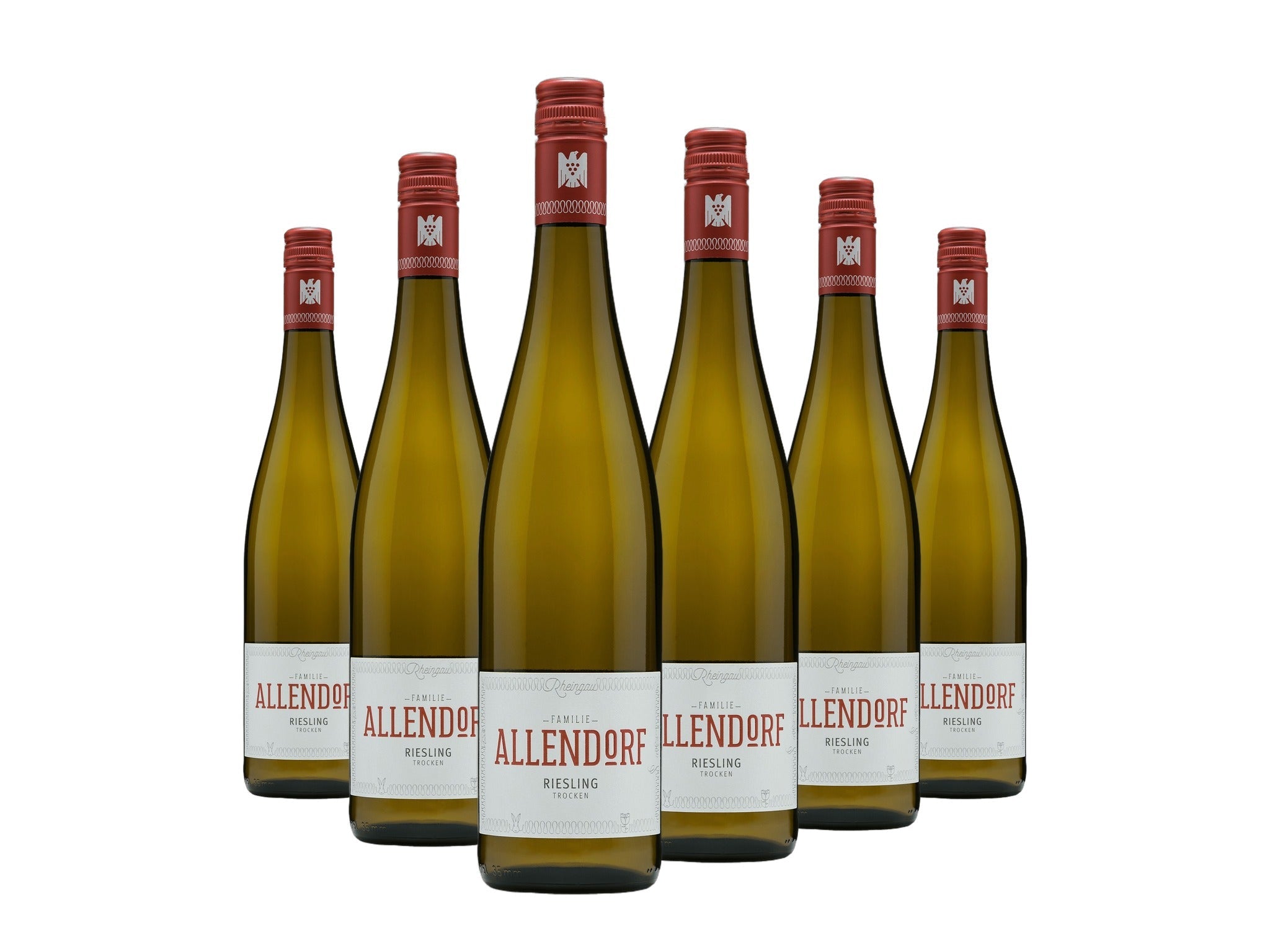 Weinpaket Winkeler Riesling trocken VDP.Ortswein, 6 Flaschen Weingut Fritz Allendorf