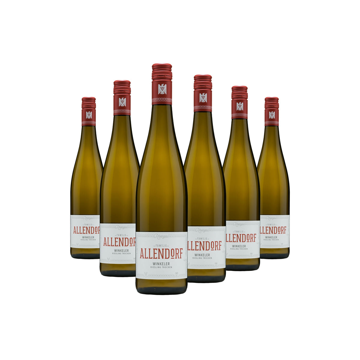 Weinpaket Winkeler Riesling trocken VDP.Ortswein, sechs Flaschen vom Weingut Fritz Allendorf