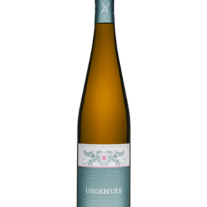 2022 Forster Ungeheuer Riesling trocken